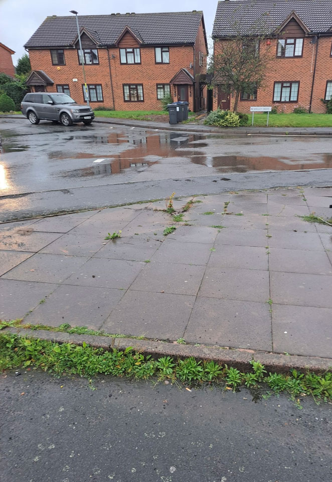 illegal bins removed